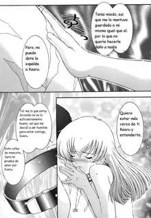 Secret File Next 5 Rasen Mekyuu, Español