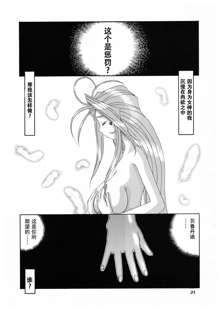 Nightmare of My Goddess 5, 中文