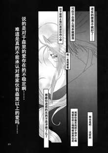 Nightmare of My Goddess 5, 中文