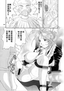 Nightmare of My Goddess 5, 中文