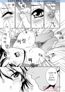 Rikuson-chan ~Lovely Gunshi no Himitsu~, 한국어