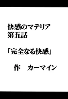 快感総集編, 日本語