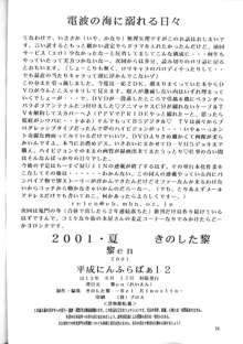 平成にんふらばぁ12, 日本語