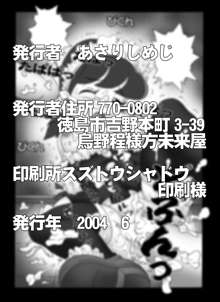 迷探偵コナン-File 11-切り裂きジャックの正体の謎, 日本語