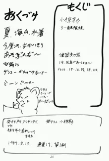 らんまのまんま, 日本語