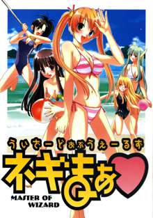 Wizard of Wales Negima, 中文