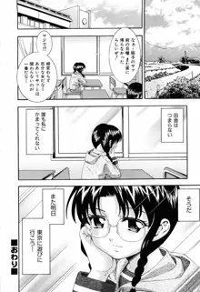 少女の胸がふくらむ時, 日本語