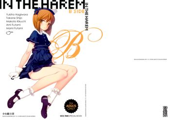 IN THE HAREM B SIDE, English