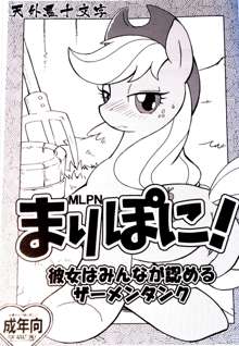 Mari Pony! Kanojo wa Minna ga Mitomeru Semen Tank, 中文