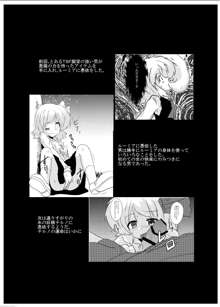 東方TS物語～チルノ編～, 日本語