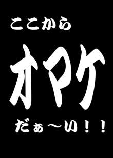 回転野望, 日本語