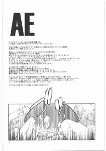 AE, 日本語