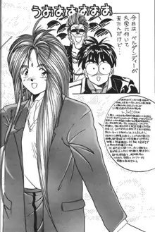 BELLDANDY SPECIAL, 日本語