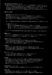 煌盾装騎エルセイン Vol.12 NETHER LABORATORY 2, 日本語