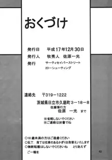 サイレント・サターンSS Vol.8, 日本語