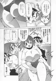 国宝乳娘 茶味, 日本語