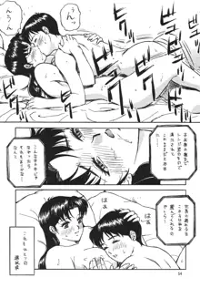 NEXT Climax Magazine 10 Evangelion, 日本語