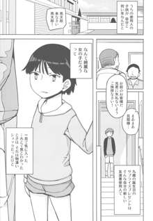 TS：彼が彼女に変わったら, 日本語