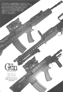 欠陥Gun, 日本語