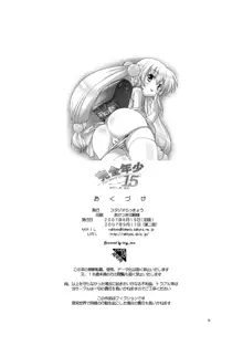 完全年少15, 日本語