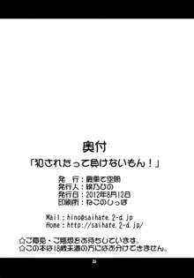 犯されたって負けないもん！, 日本語