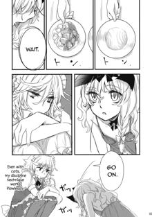 Kore Touhou de Yaru Hitsuyou Naku ne? | Is it really necessary to do this in Touhou, English