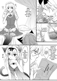 Kore Touhou de Yaru Hitsuyou Naku ne? | Is it really necessary to do this in Touhou, English