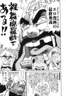 エロ漫の星 下巻 素人からのエロ漫画入門, 日本語