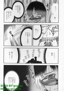 Bukkake Vol 10, 日本語