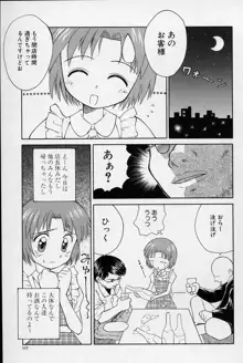 陽だまりの少女, 日本語