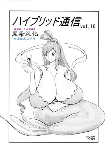 Hybrid Tsuushin Vol. 10, 中文