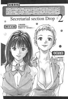 Hishoka Drop - Secretarial Section Drop 2 | 秘書課秘蜜情事 2, 中文