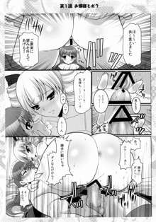 お嬢様と先生とメイドさんとボク, 日本語