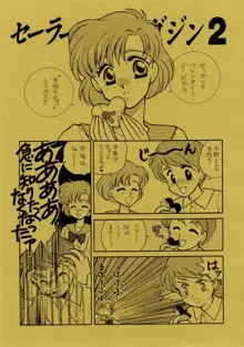 Sailor Moon JodanJanaiyo, 日本語