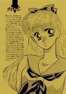 Sailor Moon JodanJanaiyo, 日本語