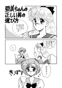 Sailor Moon JodanJanaiyo, 日本語