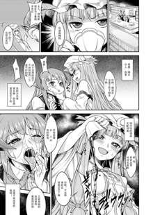 パチュリーにひどいことする漫画 (東方 Project) 【翠星石】, 中文