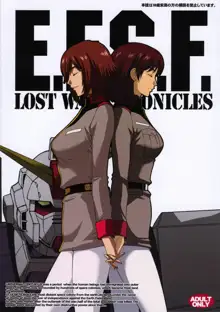 E.F.S.F.Lost War Chronicles 2 Ryouyuu Gekitotsu, 한국어