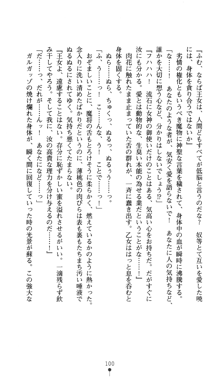 聖龍姫ルーナ 聖なる柔肌に淫魔は群がる, 日本語