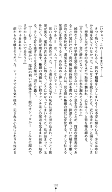 聖龍姫ルーナ 聖なる柔肌に淫魔は群がる, 日本語