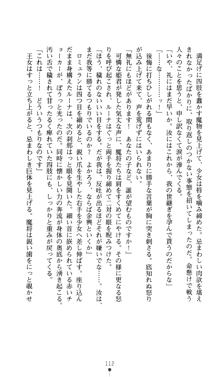 聖龍姫ルーナ 聖なる柔肌に淫魔は群がる, 日本語