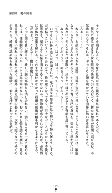 聖龍姫ルーナ 聖なる柔肌に淫魔は群がる, 日本語