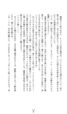 聖龍姫ルーナ 聖なる柔肌に淫魔は群がる, 日本語