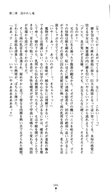 聖龍姫ルーナ 聖なる柔肌に淫魔は群がる, 日本語