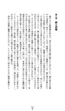 聖龍姫ルーナ 聖なる柔肌に淫魔は群がる, 日本語