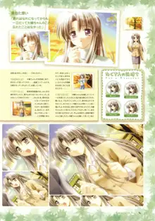 Canvas Sepia iro no Motif Visual Fanbook, 日本語