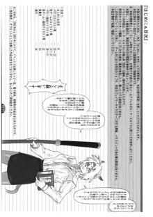 Mithman Report 2008., 日本語