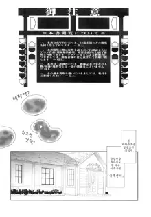 Event Horizon, 한국어