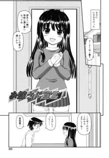 乙女心は恋の色, 日本語