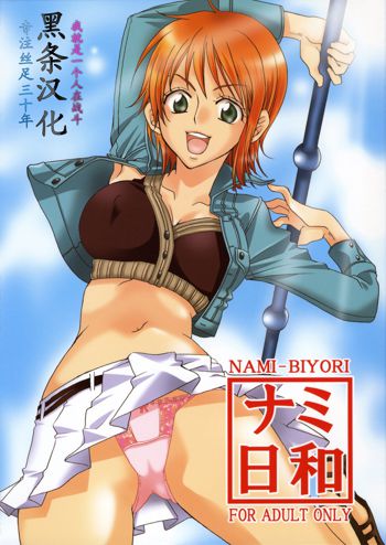 Nami-Biyori, 中文